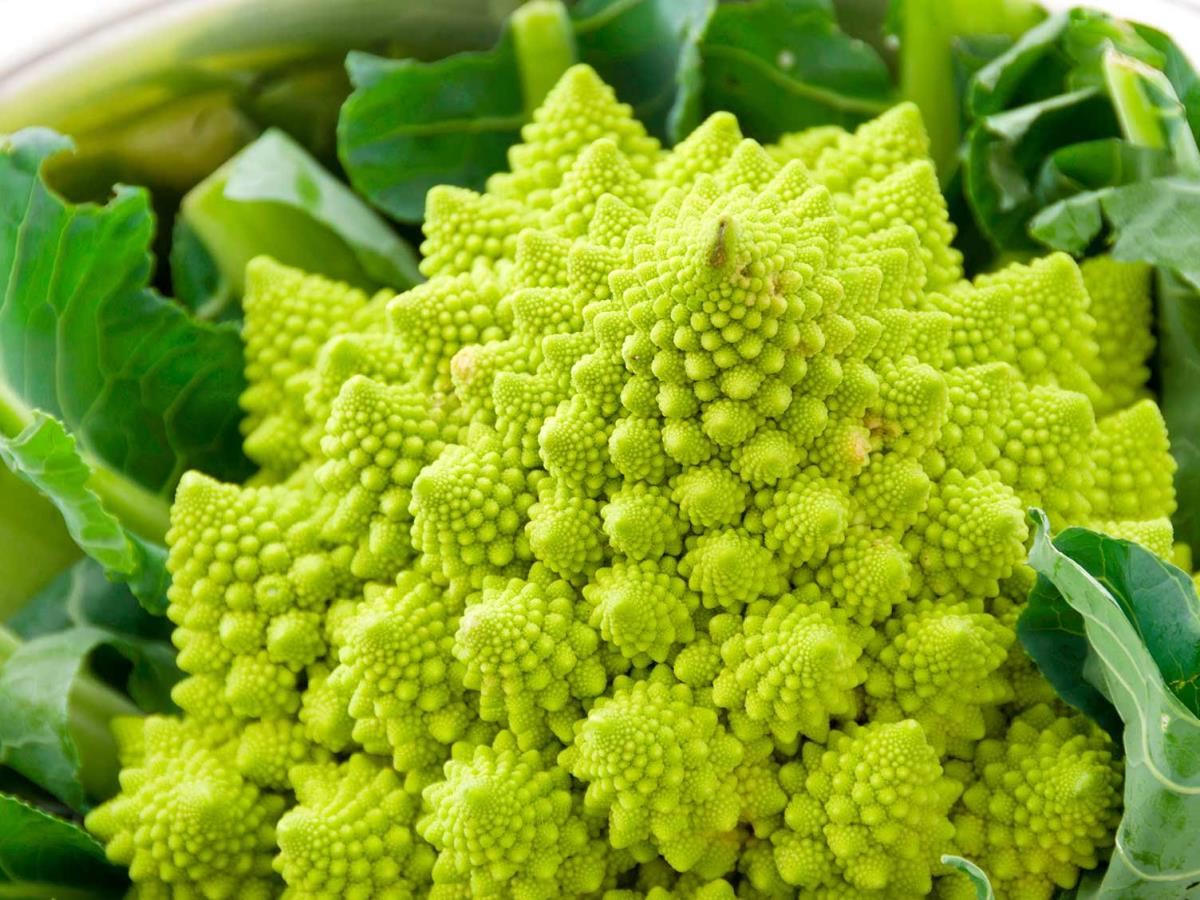 Romanesco (veg) 